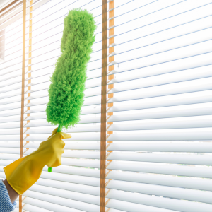 Deep Cleaning vs Regular Cleaning - A duster for dusting surfaces