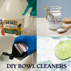 How to clean Toilet bowl using homemade cleaners -vinegar, baking soda, Hydrogen peroxide and lemon