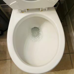 How to Clean toilet bowl -Flash the toilet after cleaning to remove the cleaner and any residue.