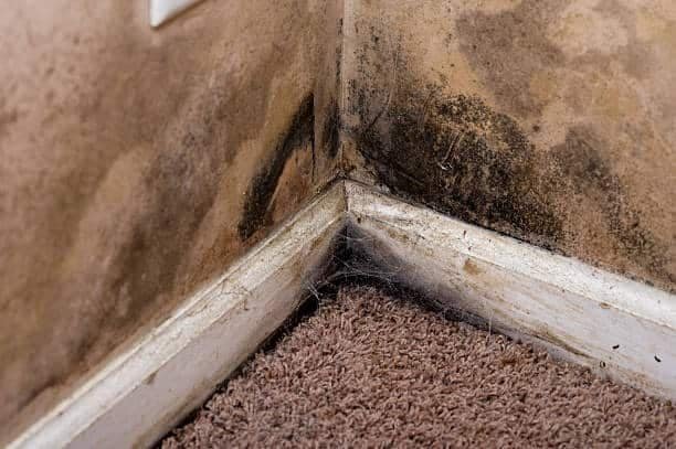 How to clean dirty baseboards like a pro 1