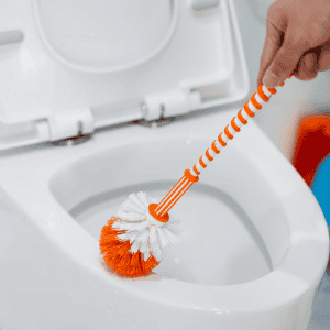 How to clean toilet brush