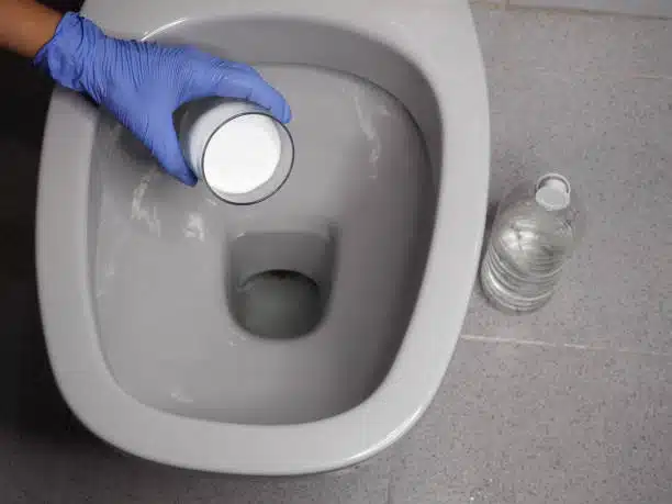 Eco friendly cleaning products -Borox