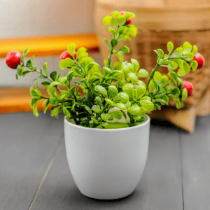 How to clean artificial plants and flowers