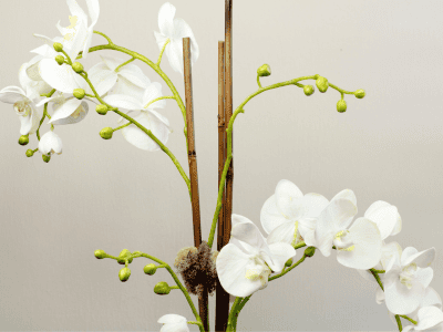 How to Clean Artificial plants and flowers easily 1 How to clean artificial plants and flowers -silk