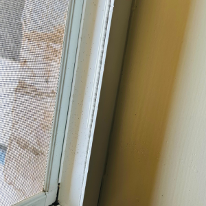 How to clean glass windows at home