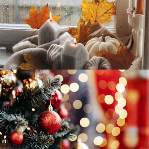 Causes of cluttering at tome -Seasonal decor items such as Christmas tree, lights ,pumpkins 